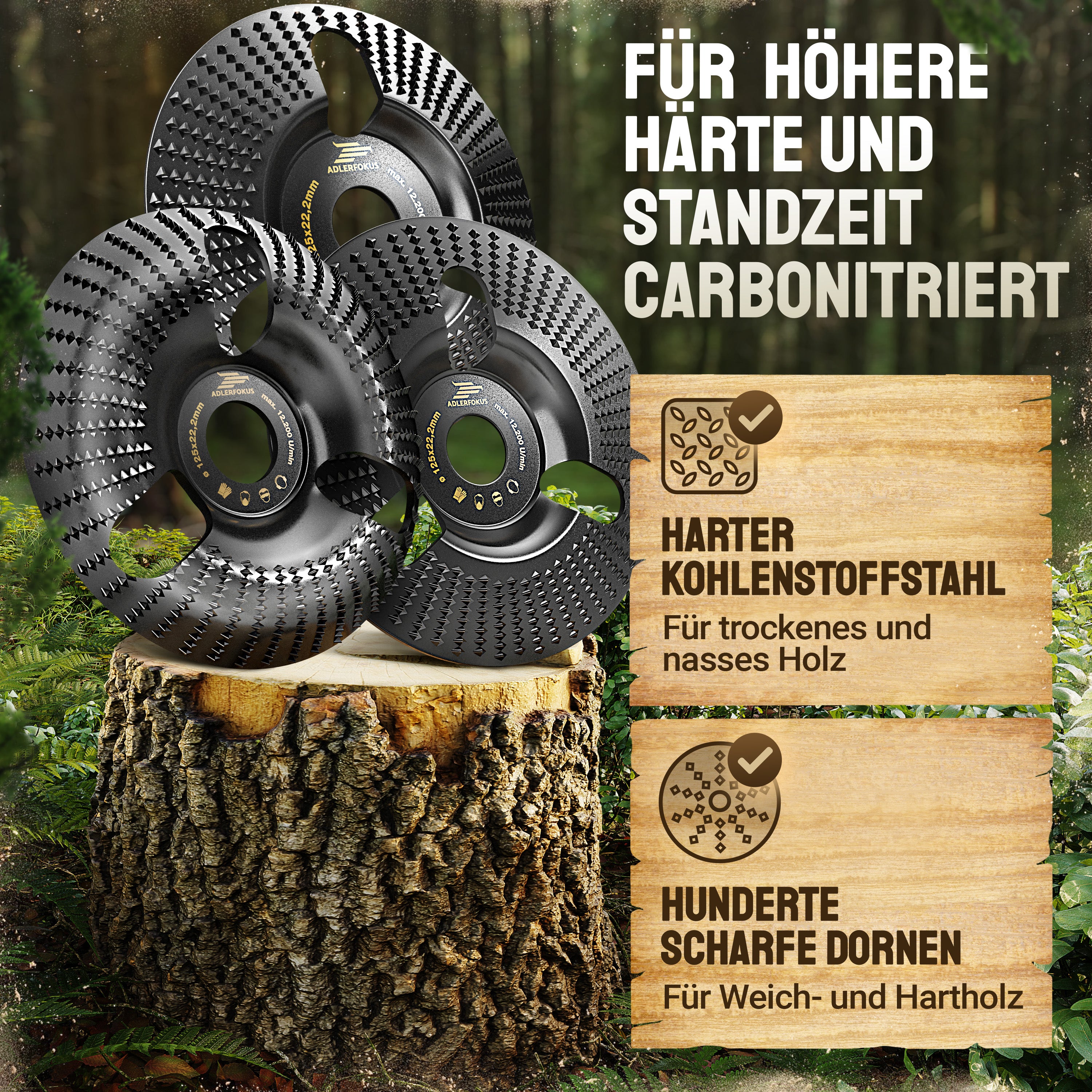 Holz Raspelscheiben Set für Winkelschleifer