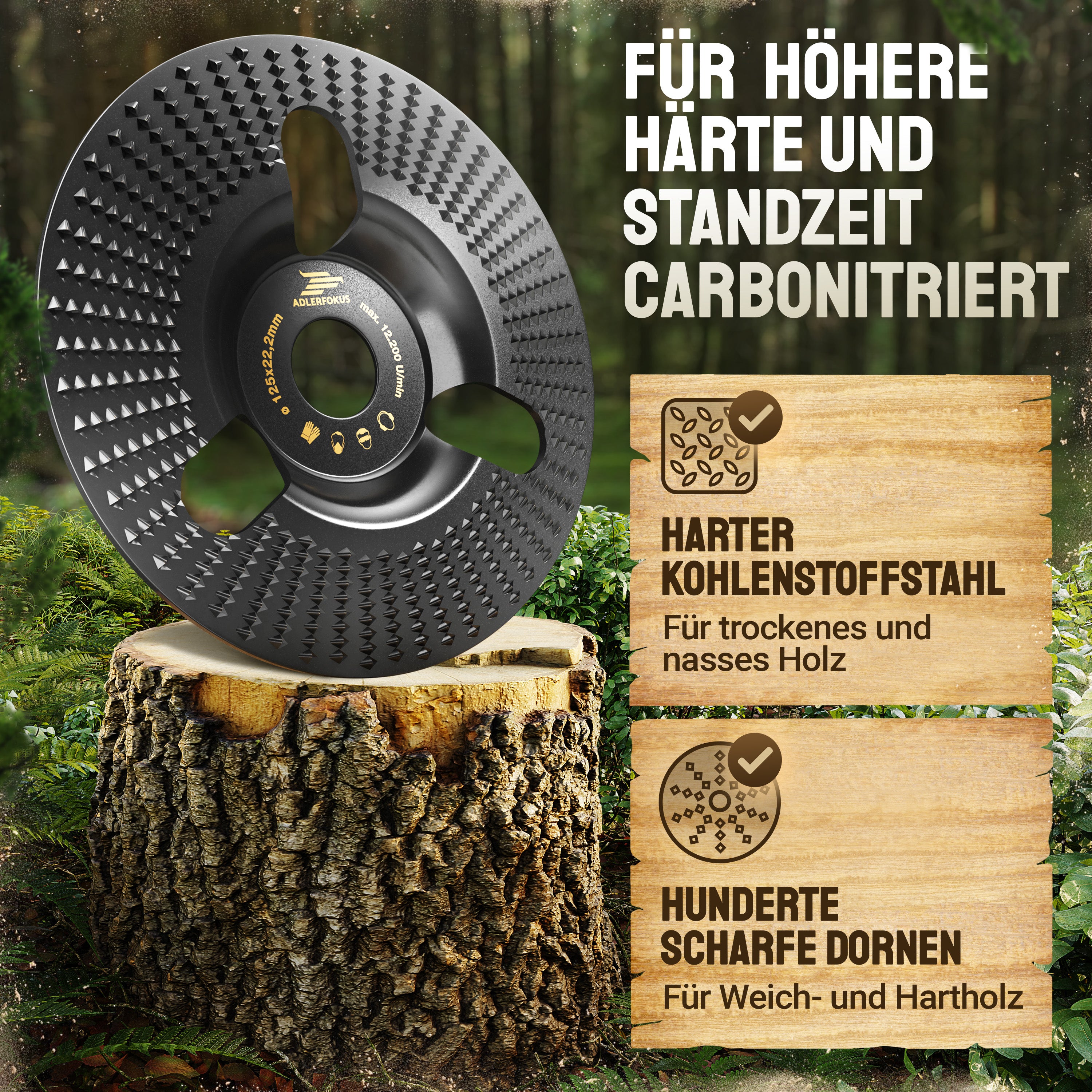 Holz Raspelscheibe für Winkelschleifer
