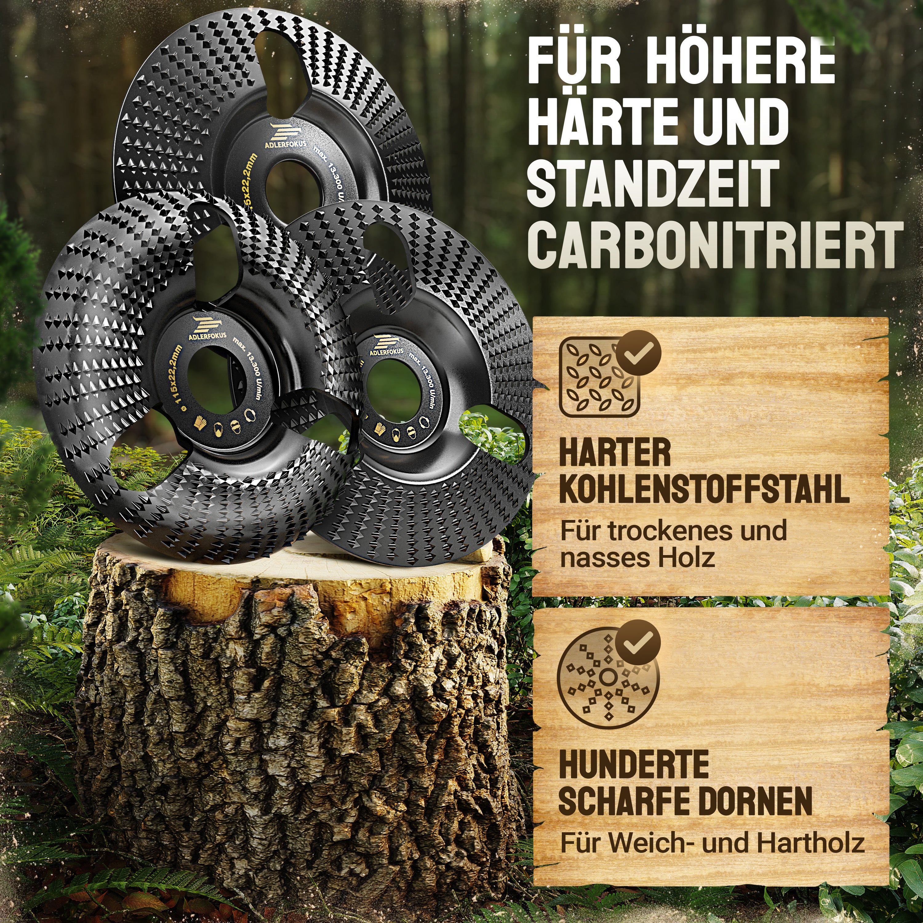 Holz Raspelscheiben Set für Winkelschleifer