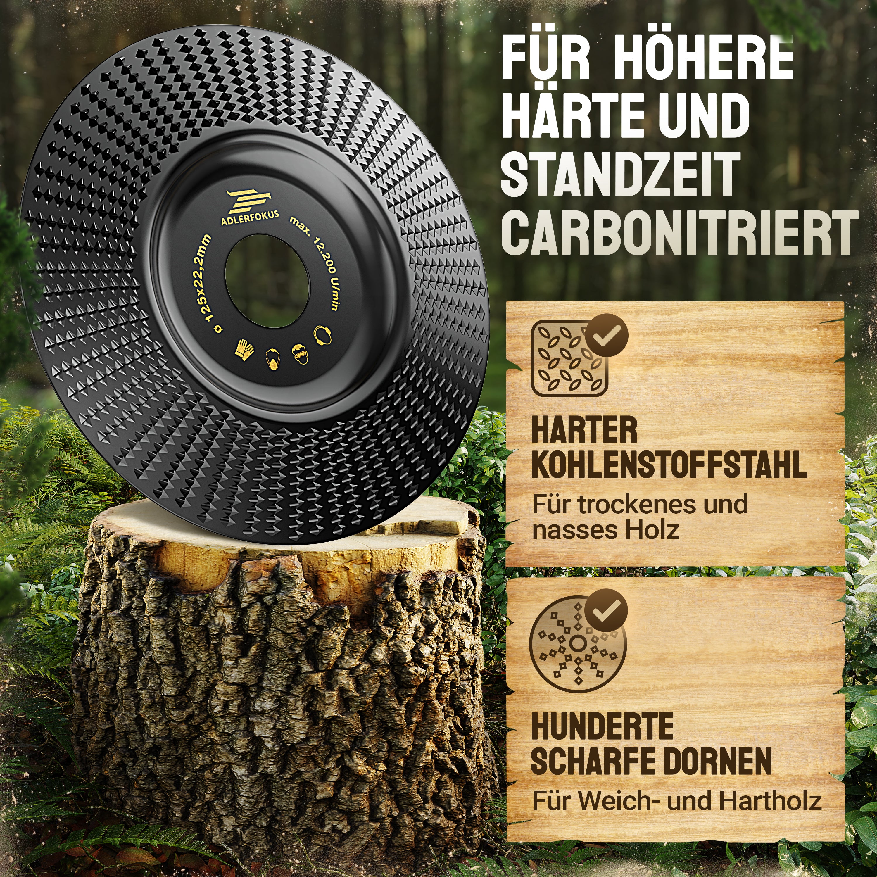 Holz Raspelscheibe für Winkelschleifer