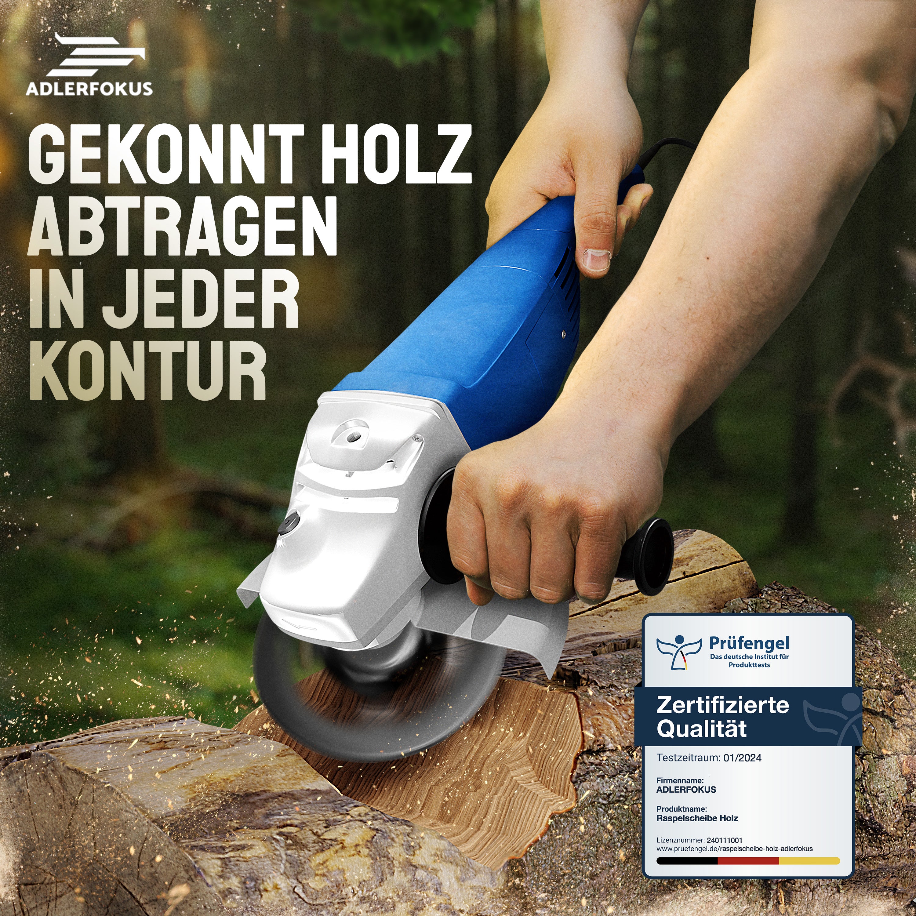 Holz Raspelscheiben Set für Winkelschleifer
