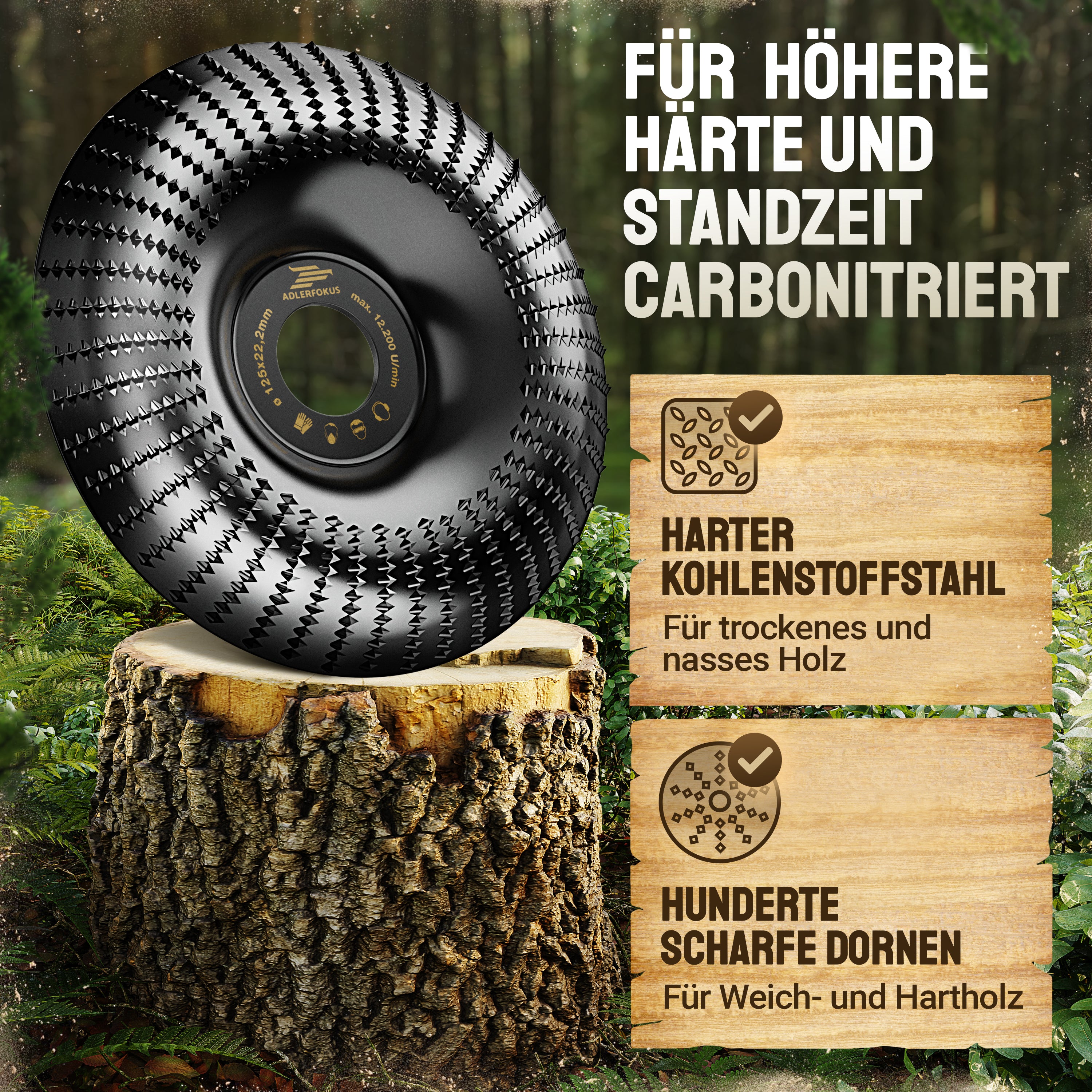 Holz Raspelscheibe für Winkelschleifer