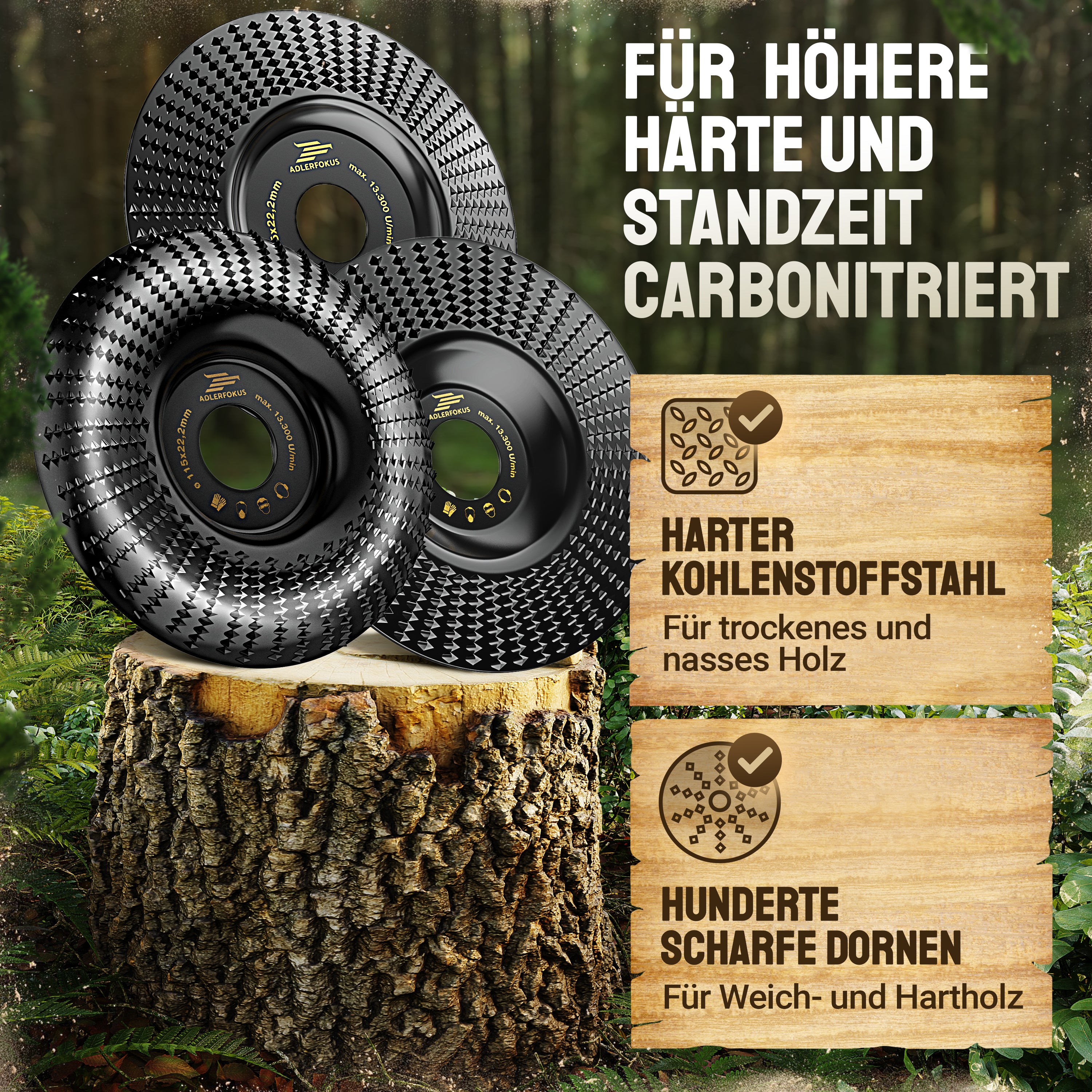 Holz Raspelscheiben Set für Winkelschleifer