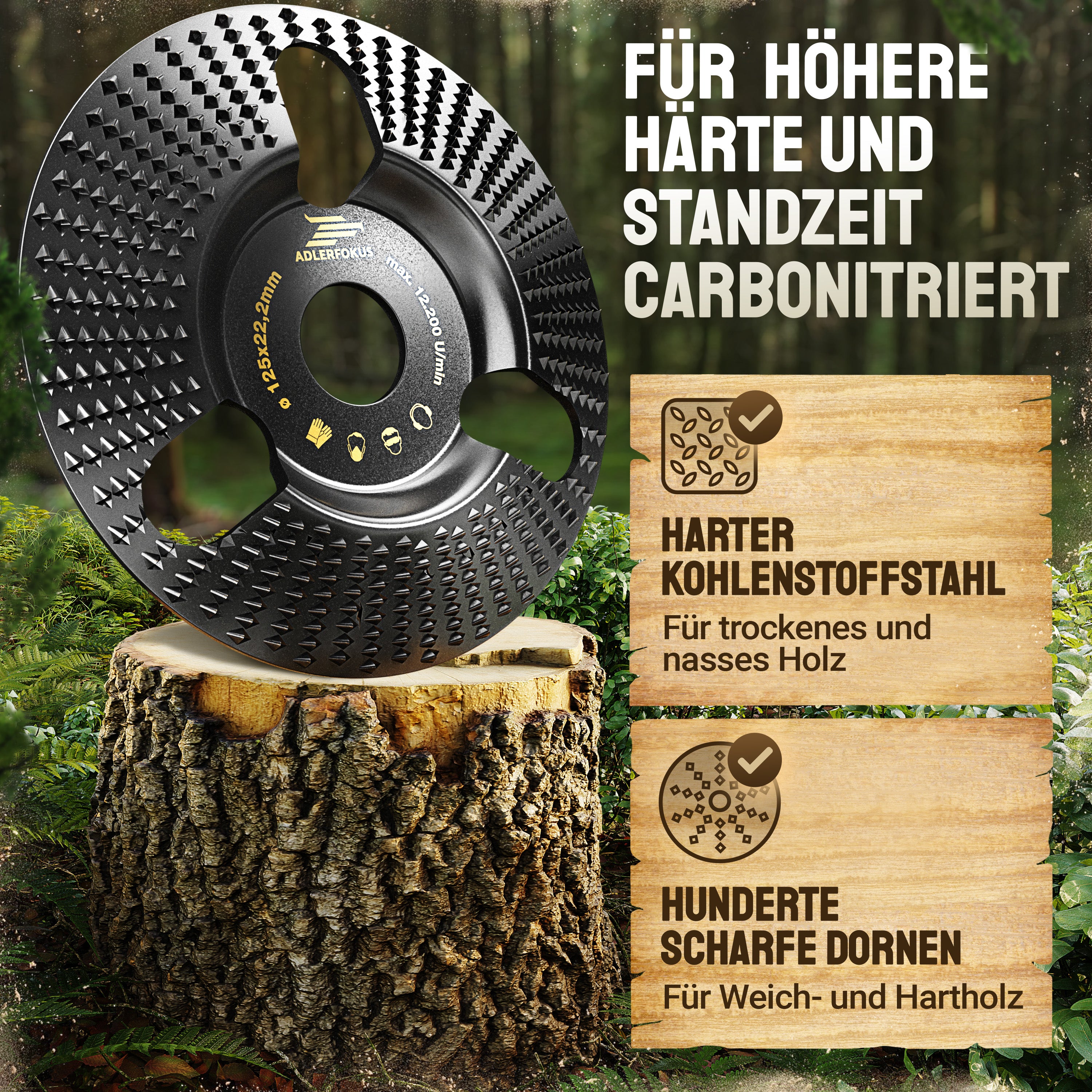 Holz Raspelscheibe für Winkelschleifer