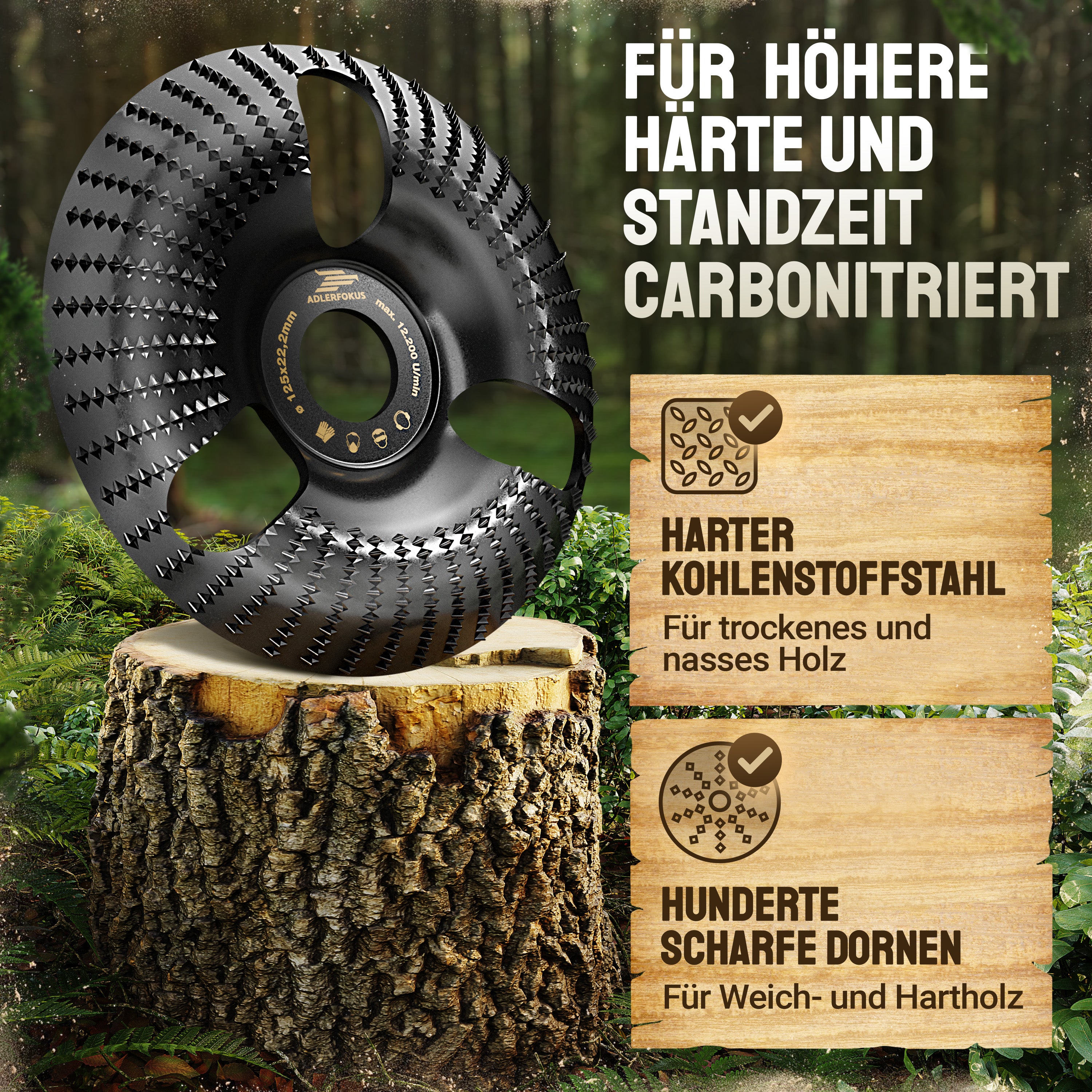 Holz Raspelscheibe für Winkelschleifer